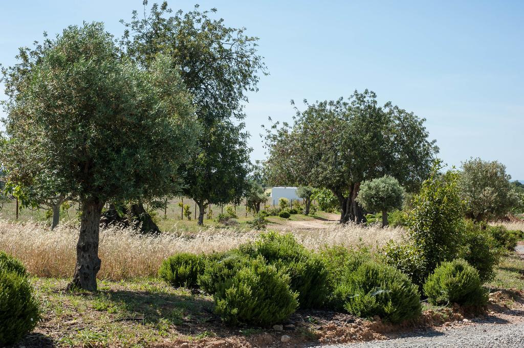 Pensao Agricola Guest House Cabanas De Tavira Ngoại thất bức ảnh